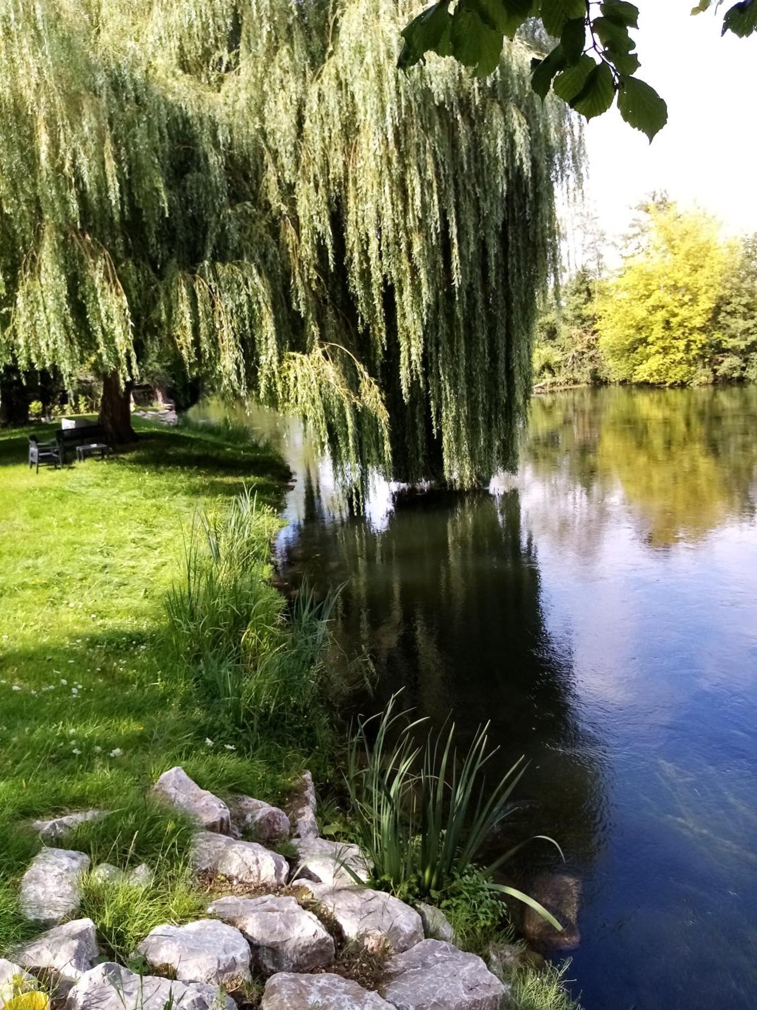 Havre De Paix Au Bords De L'Eure - Divers Hebergements Garennes-sur-Eure Bagian luar foto